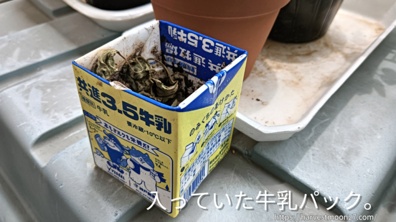 例の牛乳パック